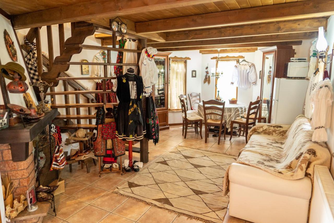 Cabana Rustic Borşa Exterior foto