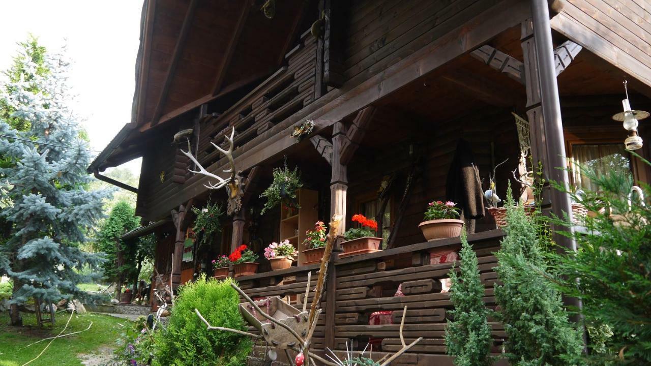 Cabana Rustic Borşa Exterior foto