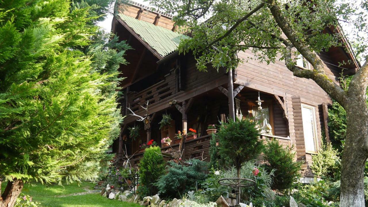 Cabana Rustic Borşa Exterior foto